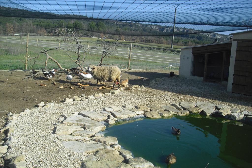 Villa Lou Mas Li Pitchoun "Le Rosier" Gordes Exterior foto